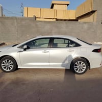 كورولا • ٢٠٢٤ • رقم اربيل