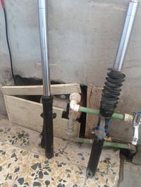 بوكسر • جبلي • دبلات