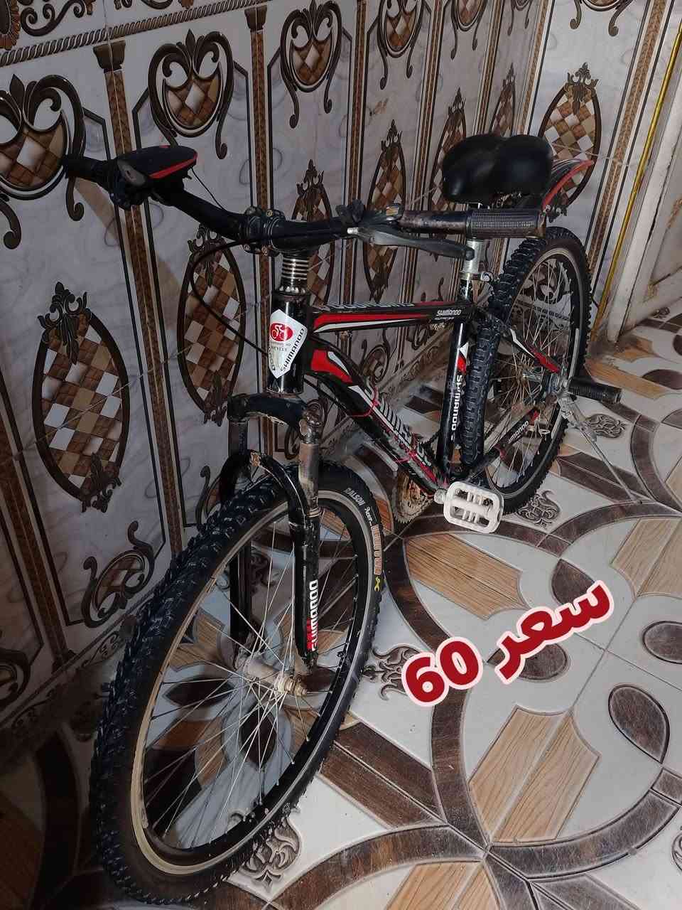 باسكلات سياحي عدد 2واحد بناتي كلشي مابيهن اي عطل للبيع لاسعار بيهن مجال مكاني زبير دريهميه. رقم واتساب. ***********
