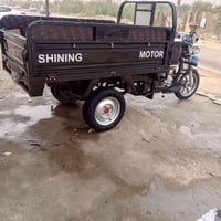 ستوته للبيع فحل موديل 23 اوراق اصوليه مقفوله كفاله عامه الاستفسار هذا ...