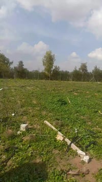 أرض • باتجاه ليلان • خلف معمل غاز