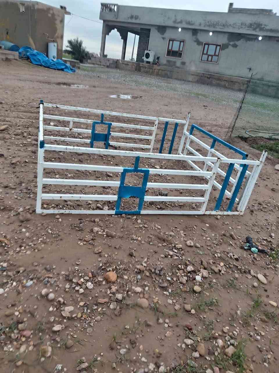 السلام عليكم محجل للبيع بيكم قديم بدون كسر السعر 100 وبي مجال الاستفسار علا الرقم ***********
