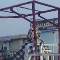 س ع شباب عندي هاي قمريه بلاديه مال شخوان جديد بعدهه لبيع سعر 15 الف قف...