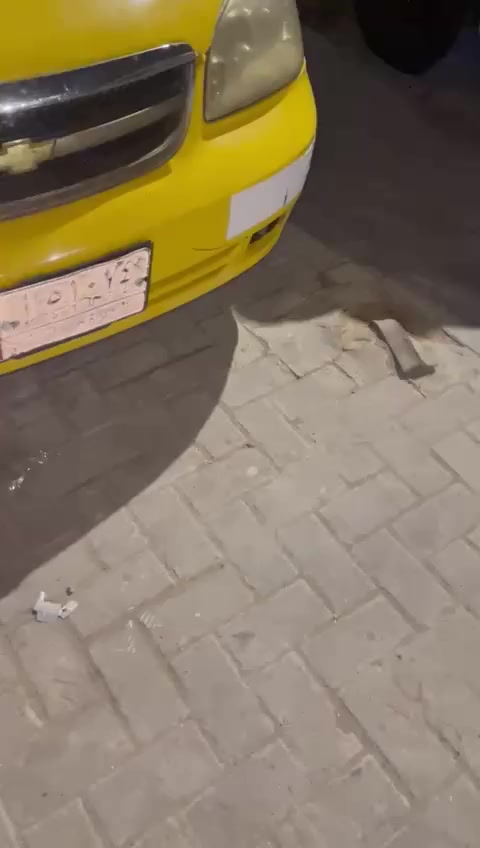 سلام عليكم من رخصت لدمن سيار اوبترا موديل 10 للبيع سيار جاهزه تبريد مكين كير خير من الله شاشه تبريد كله شغال مابيه اي نقص سعر 50 لعنوان ذي قار قضاء الفهود  هاذا رقمي بي وتساب يسفسار تصل ***********
