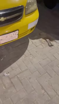 اوبترا • ٢٠١٠ • ذي قار الفهود