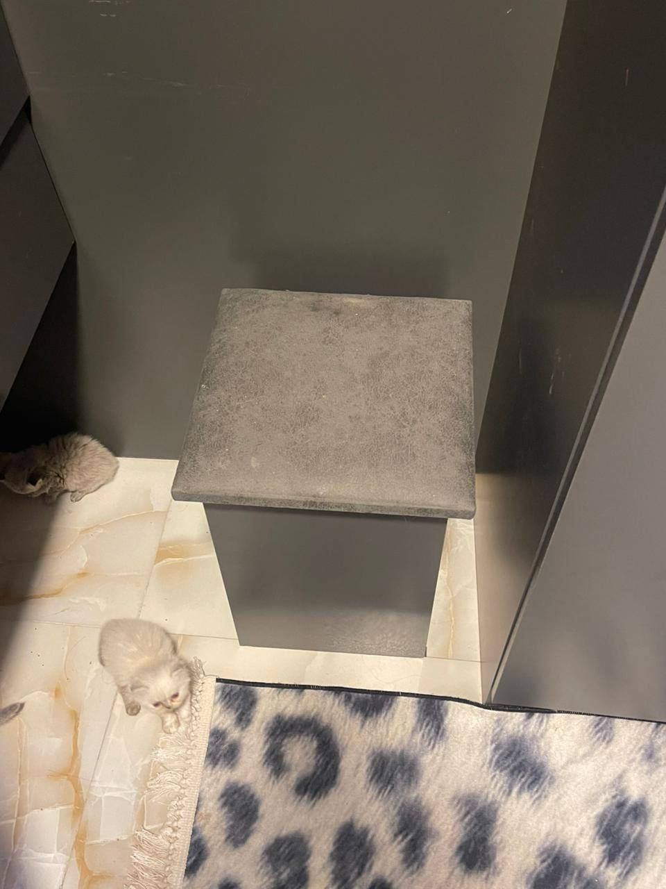 غرفة تركية ٥قطع مع دوشك درجة اولى الغرفه استخدام قليل جدا اخت الجديدة مابيهة اي ضرر العنوان بغداد المشتل الي يريدهة يراسلني خاص


**إذا كنت صاحب هذا الإعلان وتريد حذفه لأي سبب، رجاءا أرسل رسالة إلى الدعم الفني**