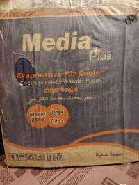 مبرده • بالكارتون • ذيقار شطره