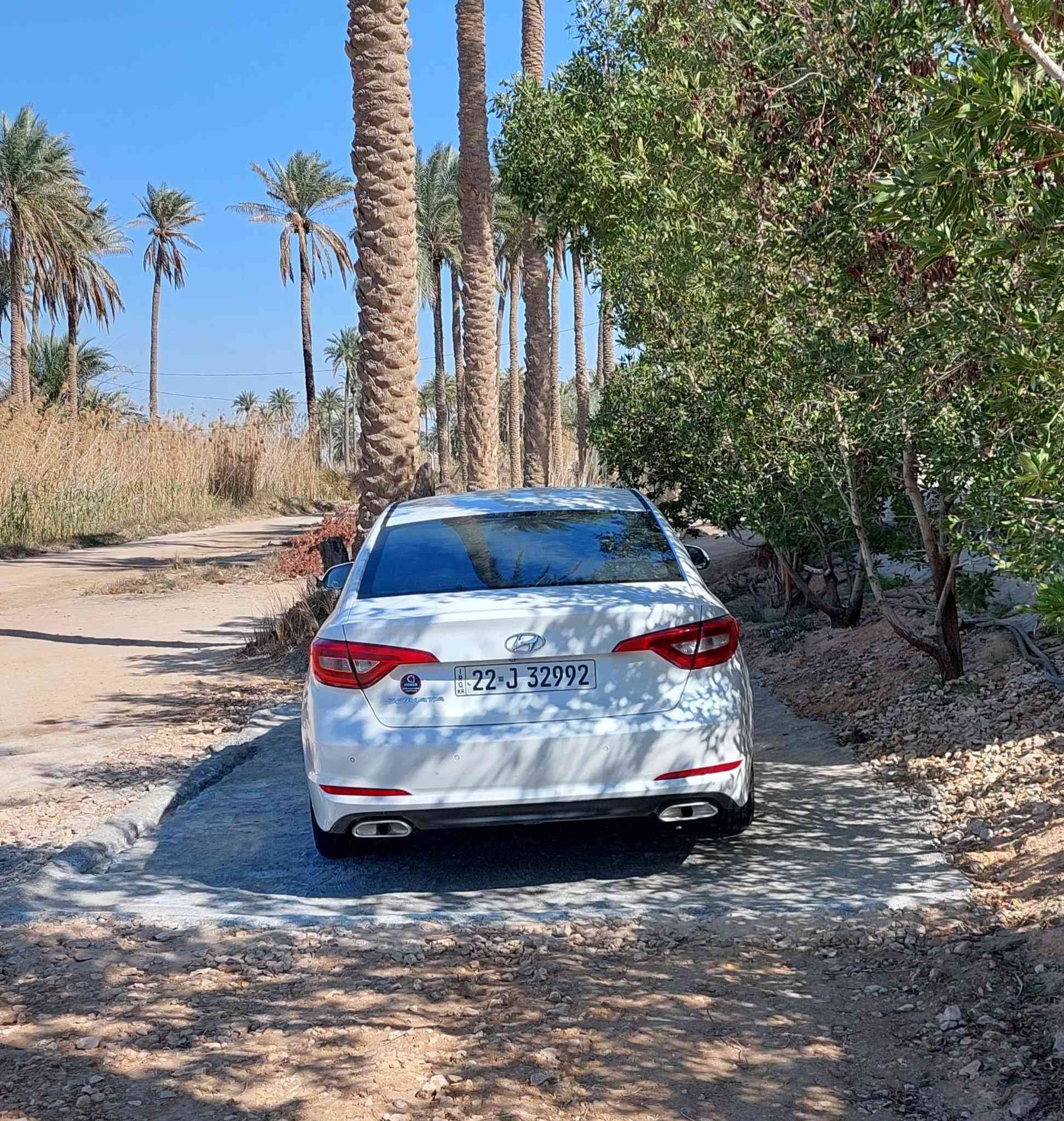 السلام عليكم
سوناتا خليجي 2015 كفاله عامه 
لا فتح ولا صبغ ولا تبديل 
محرك ما مفتوح
حساسات امامي خلفي
كشن كهرباء 
وبيها مواصفات هواي
بيها بارد قليل جدن 
مكان غماس   سعر ١٥٣ وبيها مجال
***********
