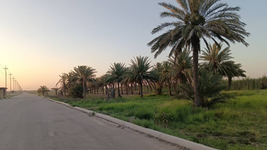 33 دونم للبيع 
في كربلاء، على شارع بغداد ، تبعد مسافة قريبة عن الشارع العام.
نوع السند: طابو 25
تقع مباشرة على شارع مبلط بعرض 10 متر
الخدمات: كاملة (ماء، كهرباء وطنية، خط مولد)
تحتوي الأرض على أنواع مختلفة من النخيل وتصلح للاستثمار بمختلف المشاريع.
ملاحظة: من الممكن بيع قسم منها أو جميعها

للاستفسار الاتصال على الرقم 
***********
*********** كربلاء, العراق
