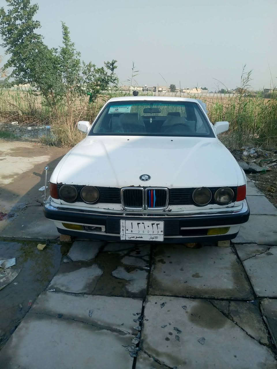 سلام عليكم البيع او مراوس. حسب القناعه  ***********
