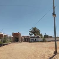 أرض • طريق ديوانية-نجف • زوار الإمام الحسين
