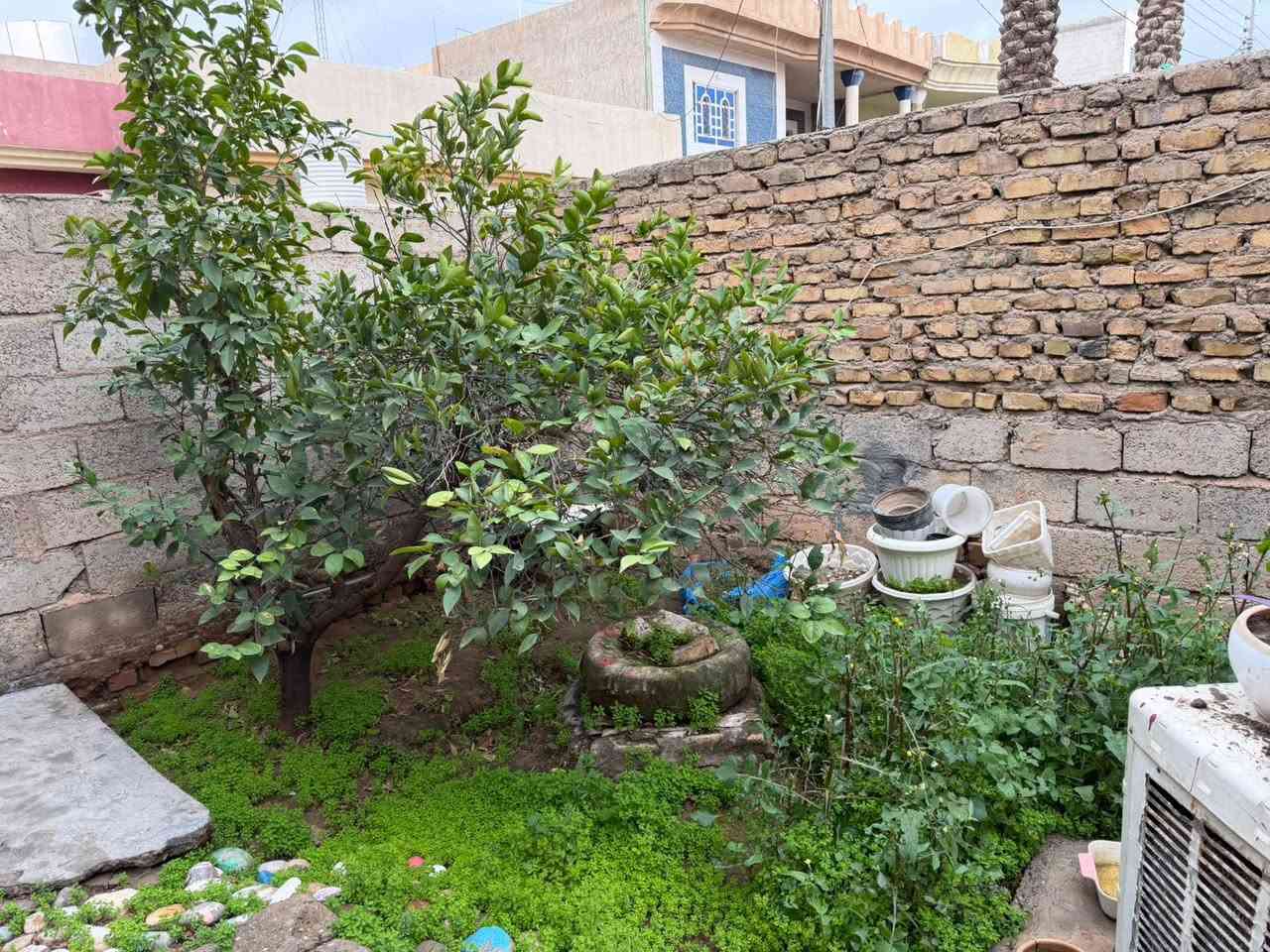 🏘️فرصة أستثمارية مميزة للبيع🏡

🏡 بيت + مشتمل للبيع
✅ طابو ملك صرف
📐 المساحة الكلية: 300 متر²

📍 الموقع:
ديالى – خانقين – منطقة توله فروش
فرع جانب تربية كوردستان – فرع هژار أبو باله – فرع الصب.

🔹 البيت: بناء قديم.
🔹 المشتمل: نظافته حوالي 65%.
🔹 العقاران مؤجّران حالياً ويحققان دخلاً شهرياً.
🔹 إمكانية سحب قرض عقاري على العقار (بحسب شروط وتعليمات الجهة المانحة).

💰 السعر: 90 مليون دينار عراقي (بسعر الأرض ينباع، 
ويباع العقاران معًا).

📞 للاستفسار:
المهندس ئوميد
***********

#ملاحظة: يمكن أيضاً تكدر تسحب علية قرض عقاري ✅
