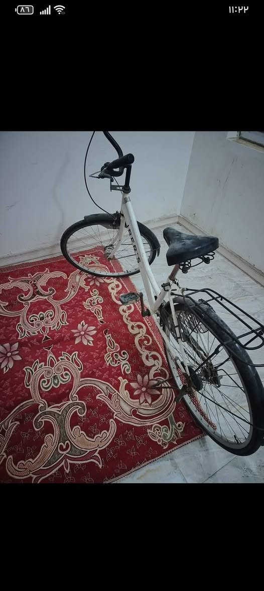 سلام عليكم باسكل للبيع حجم 27 نضيف تجي وتشوفه مكاني سماوة حي صدر  سعر 80وبي مجال رقمي ***********
