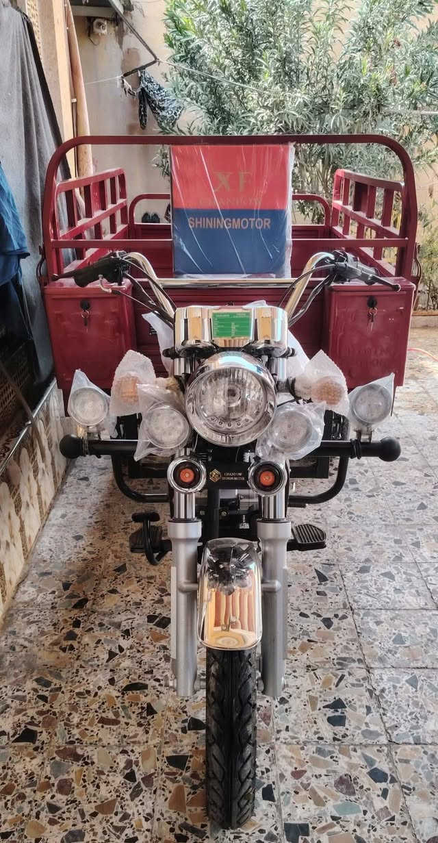 السلام عليكم ستوته للبيع نوع جمره المعروفه من اقوه الستوتات الجمره قوه ومتانه فول 100بل100 كربلائيه فحل باب اول وتجي بمكينه حجم 200CC ورك كيه بدي عالي دبل ستوته فول واحد عله واحد عداد إلكتروني جديده زيرو✨ بدهن الشركه ما ماشيه لا مشتغله موديل 2023 وإلا إصدار 2026 مكفوله كفاله عامه أوراق أصولي كامله العنوان العماره قضاء الكحلاء
لشراي يتصل *********** 📞
