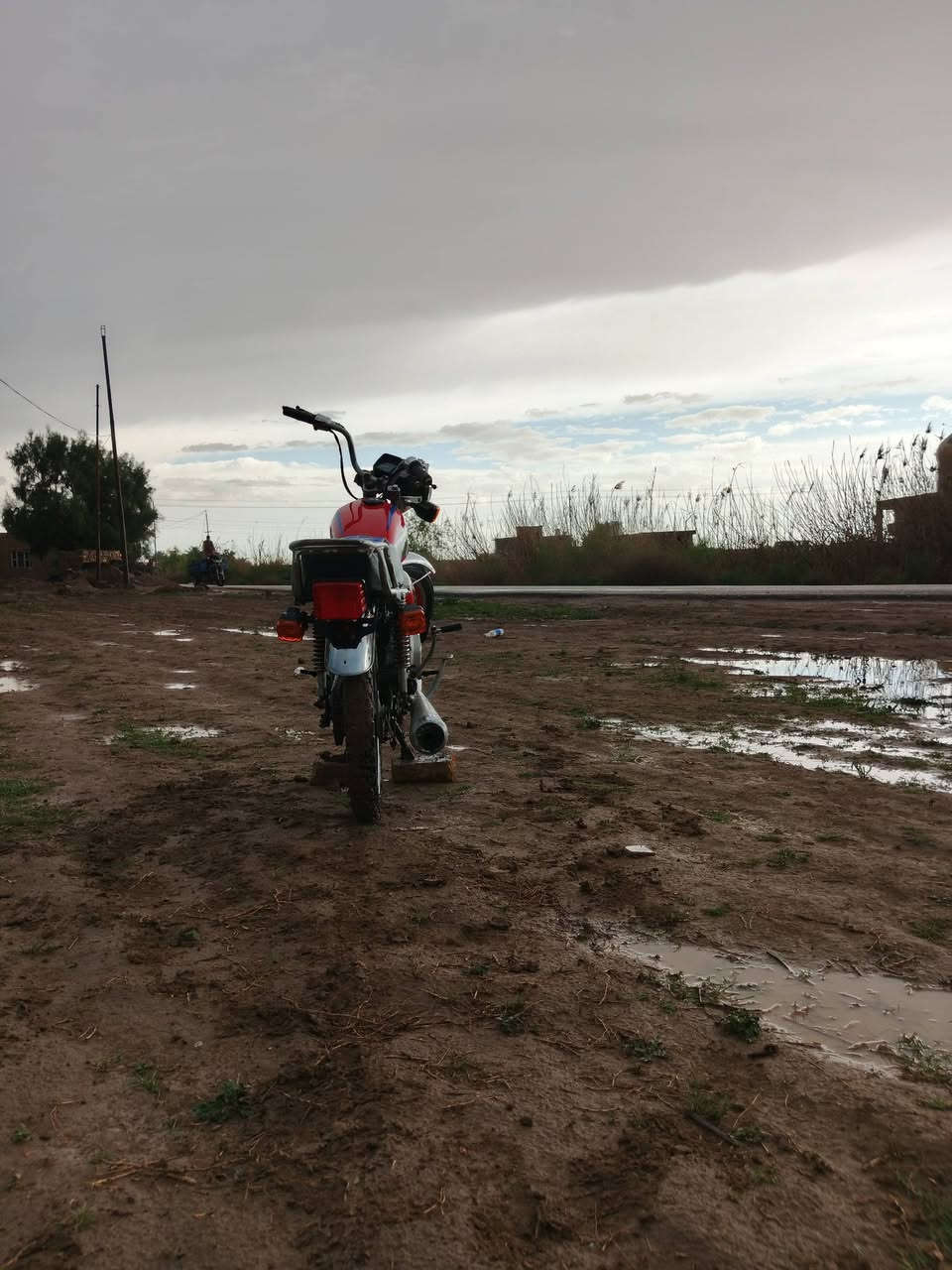 السلام عليكم ارشا موديل 18 محرك نامة برو موديل 20
دراجة كاملة من الجاملغ للجاملغ گلك كلك 
السعر 350وبيها مجال مكانها الهلال ‏‪
‏‪***********‬‏
