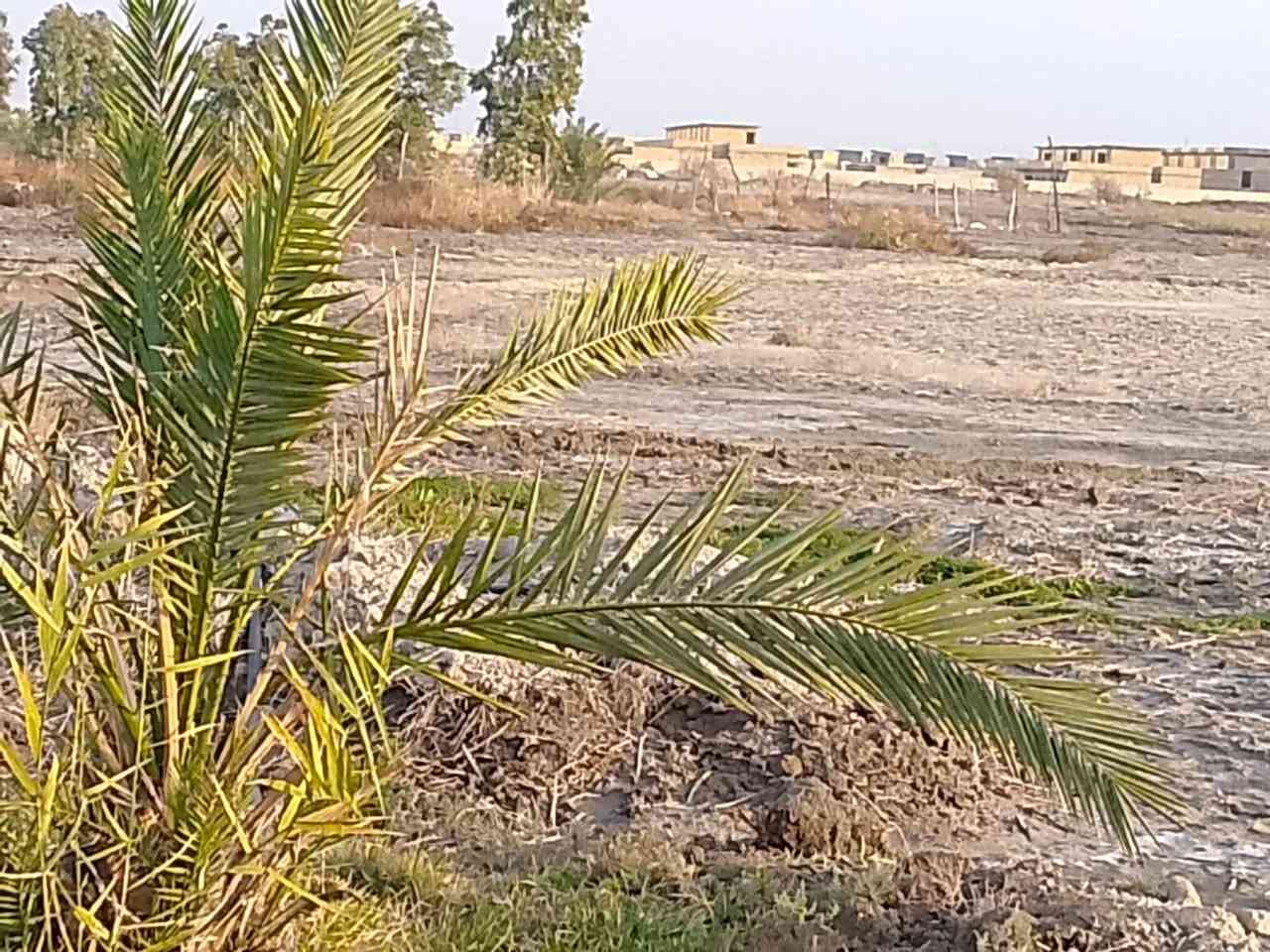 أرض زراعية المساحة 1000متر مربع بأبعاد وجه65 بنزال 200 متر الخدمات متكامله ماء و كهرباء وتبليط وملعب خماسي ومدارس وخط سحب  الأرض تقع قرب المجمع البناني ومجمع الأمام الرضا ولأرض المخدومة وتبعد عن الشارع العام 100 متر البيع حسب المساحة المطلوبه  يعني يمكن بيع مساحه 200 متر منها او 300 متر للاستفسار الاتصال على الرقم *********** مكلف بنشر
