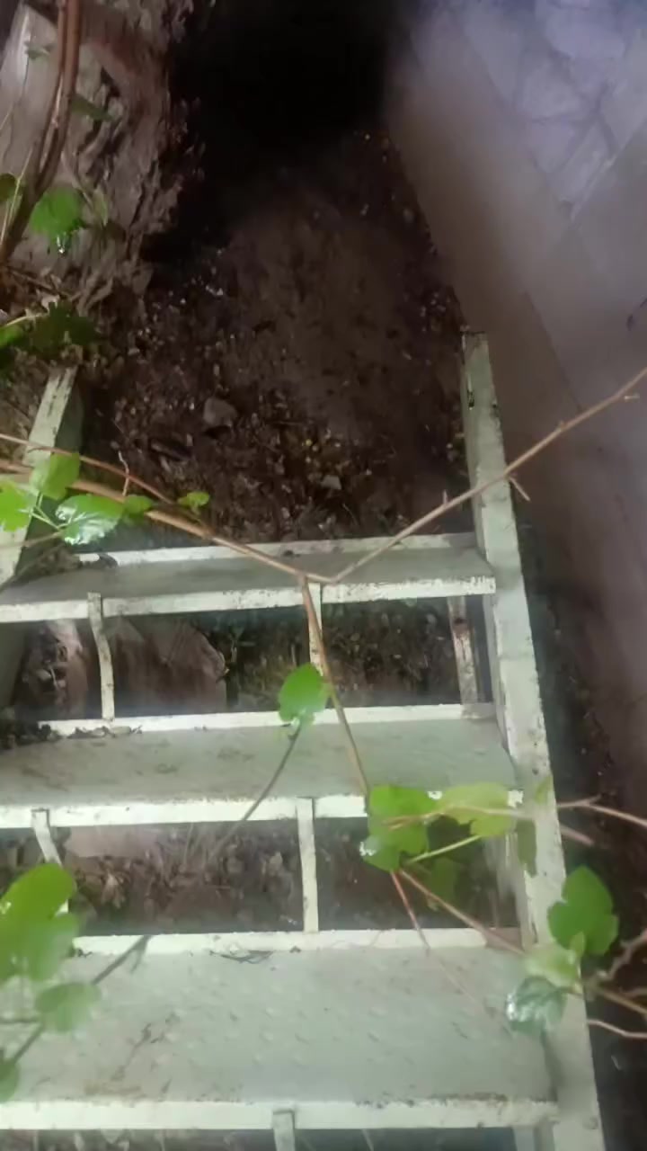 السلام عليكم  ... درج حديد مع محجر كامل 
 12 بايه للبيع العنوان جسر ديالى القديم سعر 175،الف


**إذا كنت صاحب هذا الإعلان وتريد حذفه لأي سبب، رجاءا أرسل رسالة إلى الدعم الفني**