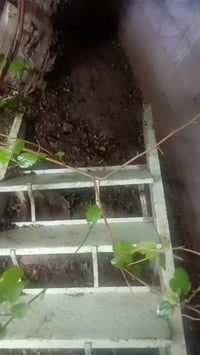 درج حديد • محجر كامل • ١٢ بايه