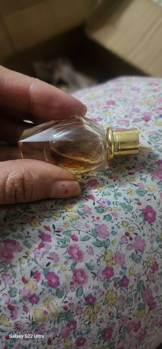 بنات عطور خليجيه باله فول ثباتيه اوفر


**إذا كنت صاحب هذا الإعلان وتريد حذفه لأي سبب، رجاءا أرسل رسالة إلى الدعم الفني**