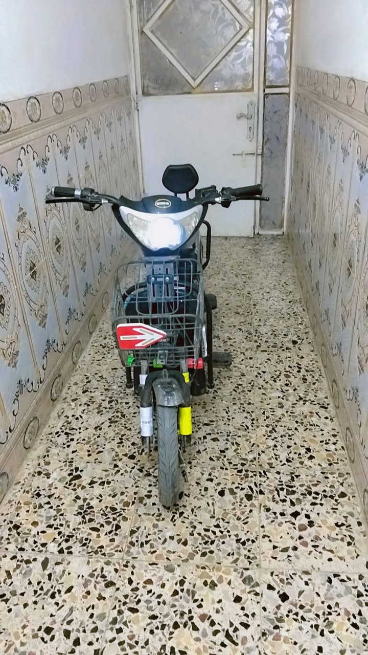 دراجه شحن جديده للبيع كلوب امامي شغال بريك امامي بريك خلفي شغالات بايدرات شغال للبيع السعر 200


**إذا كنت صاحب هذا الإعلان وتريد حذفه لأي سبب، رجاءا أرسل رسالة إلى الدعم الفني**