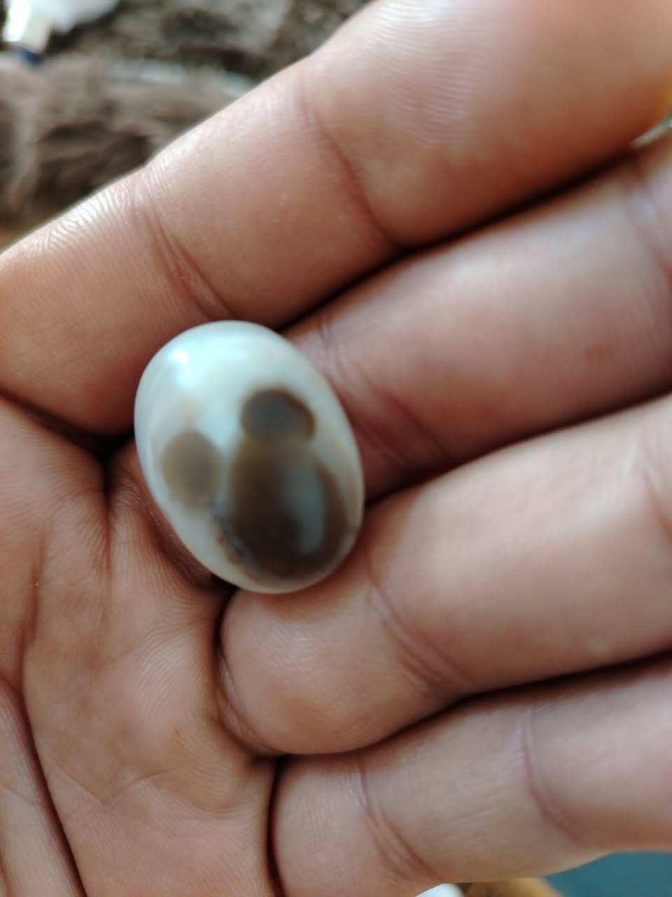 السلام عليكم ورحمة الله وبركاته م
حجر رباني للسيد الشهيد محمد الصدر قدس الله سره
#للبيع


**إذا كنت صاحب هذا الإعلان وتريد حذفه لأي سبب، رجاءا أرسل رسالة إلى الدعم الفني**