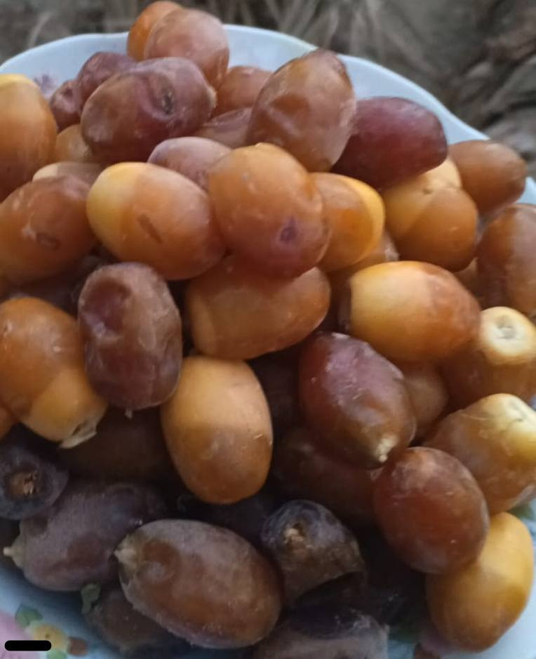 السلام عليكم يوجد فسائل گنطار رقم الهاتف +9647747540131
