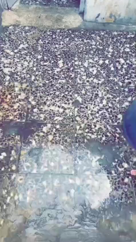 السلام عليكم بيت حواسم لبيع خلف کراج الساحه سعد. حي الفائات ***********
