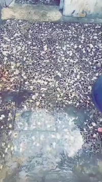 بيت حواسم • خلف كراج الساحة سعد • حي الفائات