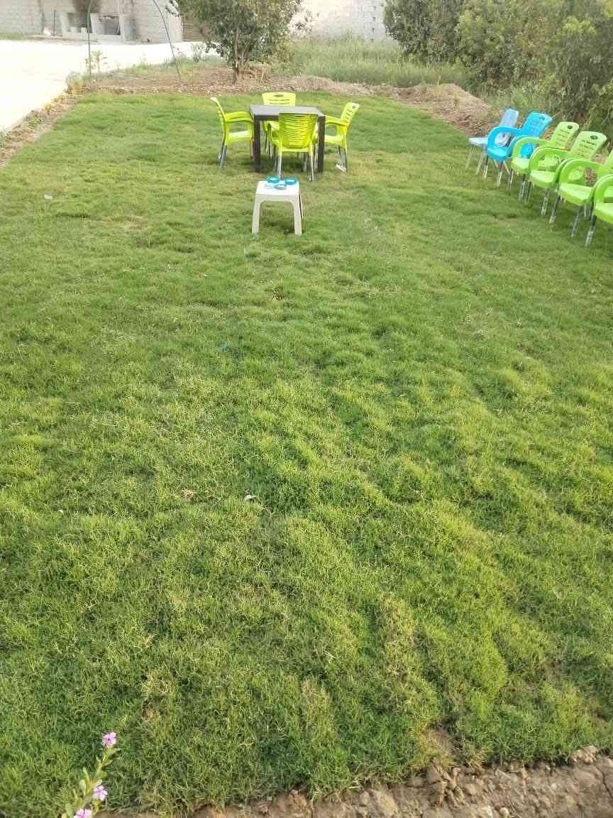 مزرعه قصر الفيروز  منتجع كامل اجواء من البهجه والهدوء والخصوصيه 🎻🎸🌿🌴🏕️🌲🎸🎻
للعوائل+شباب
📍صلاح الدين/قضاء بلد 

      يتضمن المكان كل وسائل الراحه وأفضل خدمة 🎻
🎸 ببناء حديث بتصميم عصري 🏡 
🎸 الخصوصية والامان والنظافة💯
🎸 كهرباء على مدار الساعة 24🔋
🎸 شبكة اتصالات انترنيت📲
🎸 مسبح كبير وصغير للاطفال 🏊
🎸 صحيات داخليه  🫧
🎸 مكان مخصص للشواء 🍖🍗
🎸 كراج سيارات كبير 🚙🏎️
🎸 العاب ترفيهيه 🏓
🎸 تحتوي على صاله كبيره مجهزه ومؤثثه وغرفه نوم ومطبخ مجهزة بالكامل 
🎸حديقة كبيره  💐🌻🌹 
نستقبل الحجوزات من عوائلنا الكريمة  على مدار الاسبوع  بنظام حجز شفت واحد و (24) ساعة مبيت
الشفتات الصباحي من 10صباحا لل6 مساء 
والمسائي من 8لل8الصبح

للحجز الاتصال وتساب ***********
***********
ا
