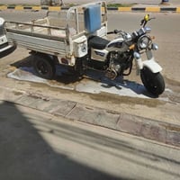 ستوته • موديل ١١ • اوراق اصولي