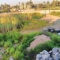 بغداد ابو غريب • ٢ دونم • طابو صرف