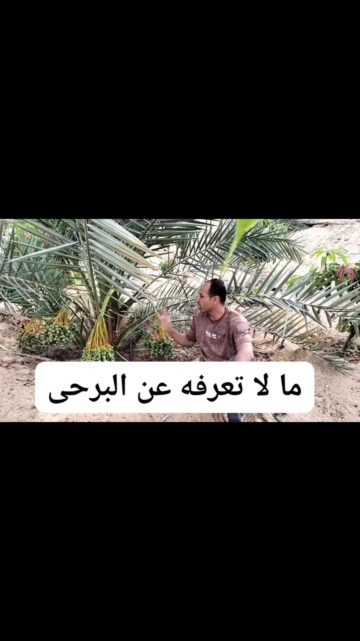 غاية العلم حب الخير للغير 
لعل الله أن ينفع به عباده 

( إنصحوا لله فى عهده 
فإن من استرعى شيئا من امور الناس  ثم لم ينصح له حرم الله عليه الجنة )

النخيل البرحى


**إذا كنت صاحب هذا الإعلان وتريد حذفه لأي سبب، رجاءا أرسل رسالة إلى الدعم الفني**