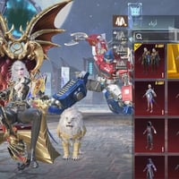 حساب ببجي عالميه مرتب+نوادر  مستوى الحساب 91 مستوى المجموعات 71  عدد ا...