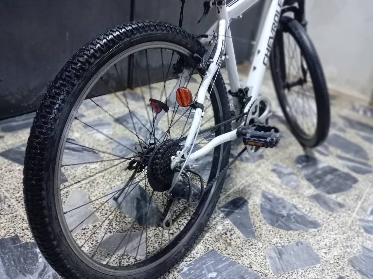 سلام عليكم. بايسكل 🚲 ماركة شوفرليت حجم 26 كير امامي 3 نمر والخلفي 6. دبلات شغالة بريكات شغالة السعر 160 وبي مجال بسيط مكاني موصل حي الملايين الاولى


**إذا كنت صاحب هذا الإعلان وتريد حذفه لأي سبب، رجاءا أرسل رسالة إلى الدعم الفني**
