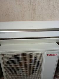 سبالت • جميع الانواع • الديوانية القادسية