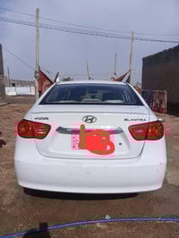 لنترا • ٢٠١١ • مكفولة