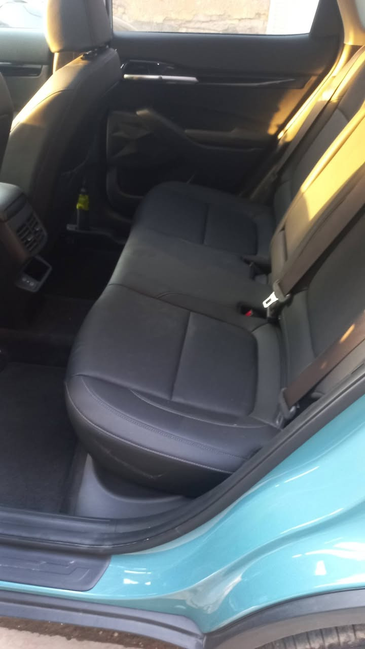 ***********/بغداد/
