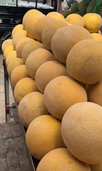 بطيخ شرط عسل • بامية تجفيف • مدخل الزاب