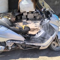 فورزه • ياباني • شغاله