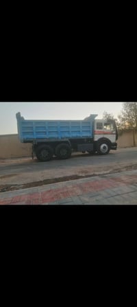 كرواتي • ميسان • للبيع