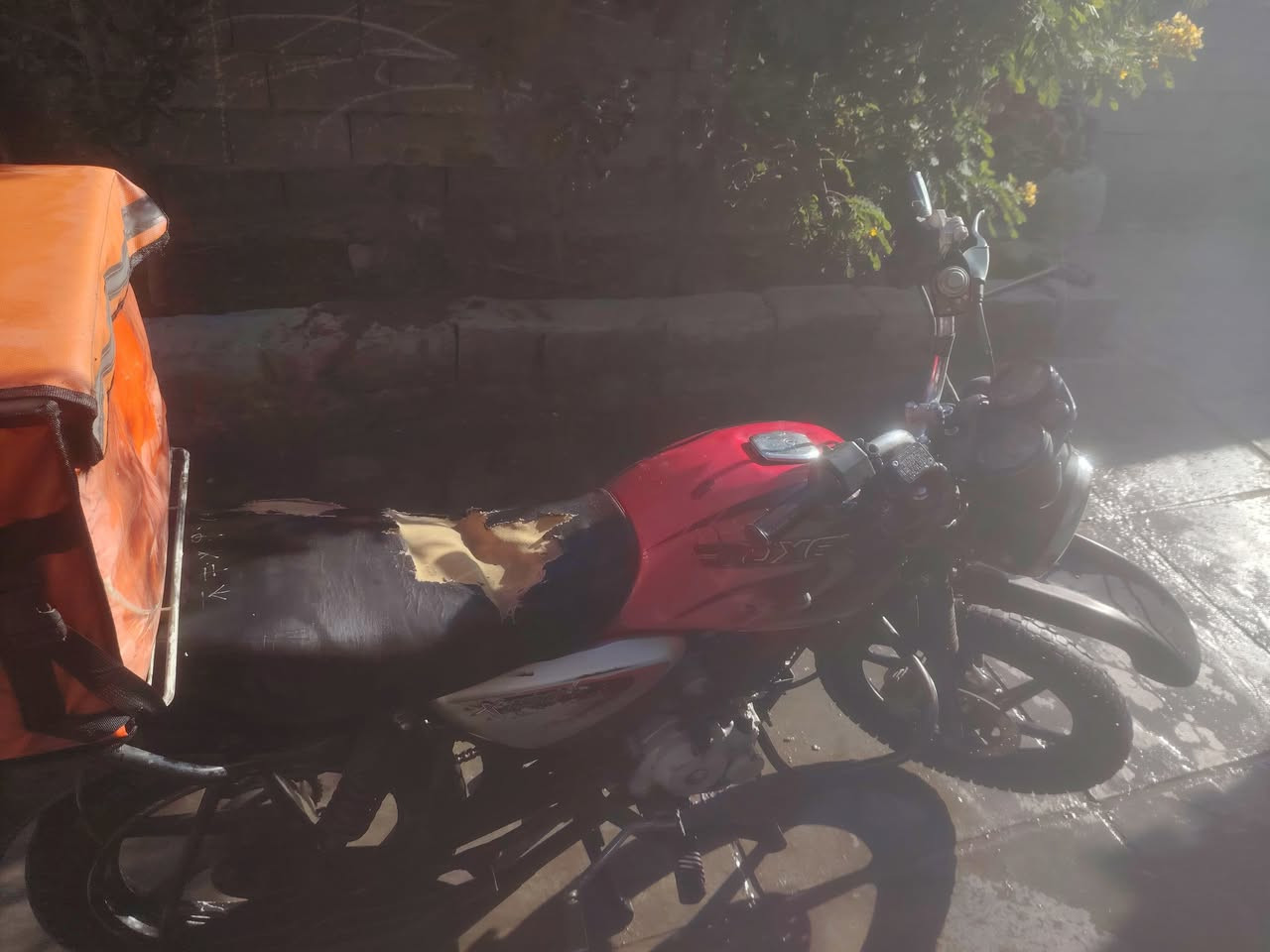 السلام عليكم بوكسر جبلي 2020 شهر 12 كامله أوراق
عطل الدراجه لاطشه
سعر 700 وبيها مجال للناس الطيبه
عنواني بغداد الزعفرانيه *********** متواجد واتساب
