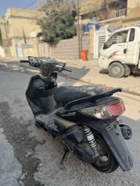 اعادة نشر بسبب الوعود الكاذبة  سكنس فحل كوري للبيع  طافية ماعرف شبيها ...