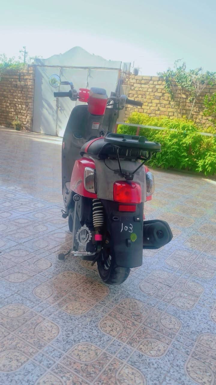 السلام عليكم بوليس 🍒🍒نوزل مصطار للبيع ولاغلطه
موديل2010

الدراجه ختم واحد 

بلاديه مامفتوحه

كلهة شغاله ماتذب عليهة ربع

نصبه تخبل 

شلعه ومعدل مفولات

كهربائيات كلهن شغالات سلف اشاير يمنه يسره لايت هورن بك لايت قفل ستيرن قفل جنطه

بريكات امامي خلفي

تواير جدد دراجه خرسه متسمع صوتهة

نكرع سلف بكل وقت

لونهة ولا غلطه

مكان ناصريه سواق الشيوخ السعر خاص ‭٠٧٨٢ ٧١٦ ٠٧٢٨‬
