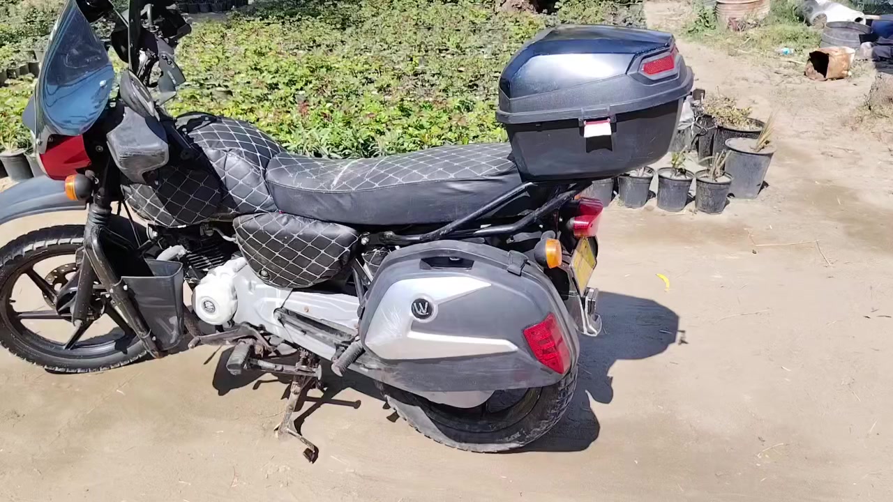 سلام عليكم بوكسر جبلي 2023للبيع
***********
