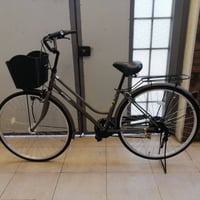 باسكل • مديل 2023 • الموصل حي الزهور