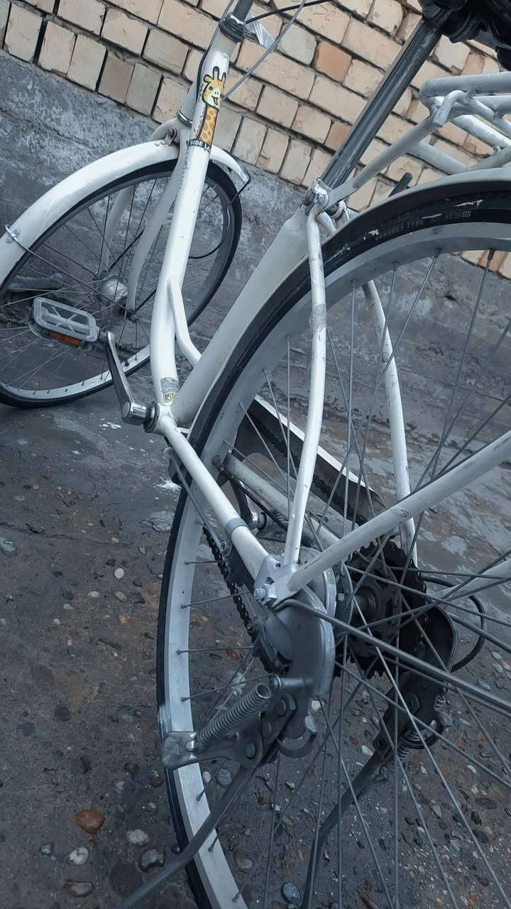 السلام عليكم بايسكل حجم 26 بايسكل حلو ومرتب قبل شهرين نازل رمبه 
حساس عكرب كله نضيف وجديد وحلو بايسكل مرتب السعر 
100 
مكانه الامين الثانيه خلف السده قرب مدرسه الكرفانات رقمي ***********
شراي هلا بيك اتشرف بل كل ♥
