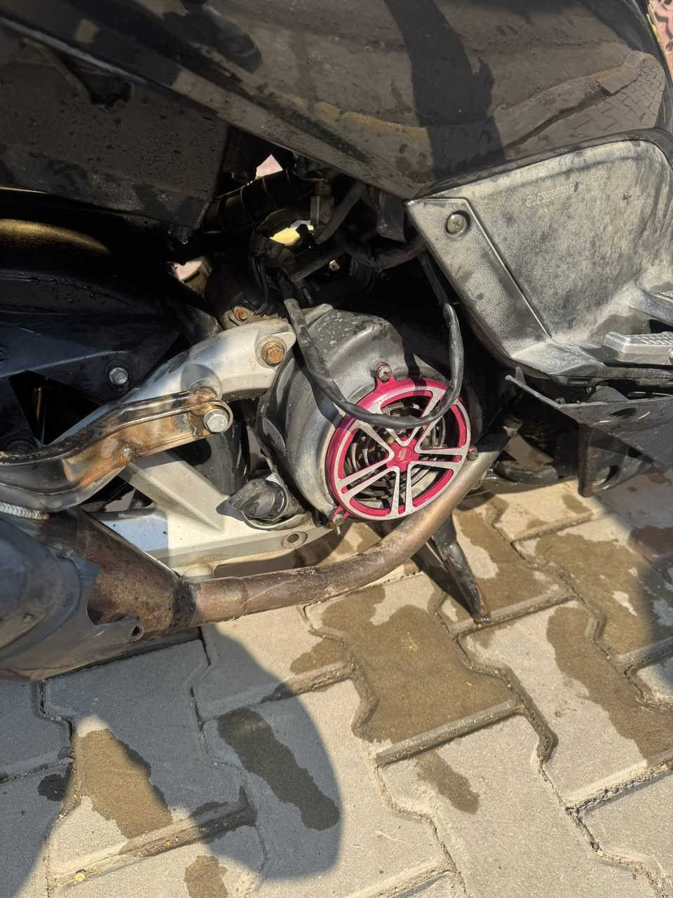 سلام عليكم
جيتي ار كفاله عامه ملحه تخبل مكينه متنسمع صوت

مزود صدر Dy

كلجات رياضي اصلي 

قبق فلاوين Dy 

دبلاتDy

تعلاكه اصلي

قبق فلاوين Dy

صالنصه أستيل أصلي ام الختم صوته يخبل 

دراجه كهربائيات كله شغاله 

أورق كامله 

السعر :850

مكان: للحسينية 

رقم: ***********
