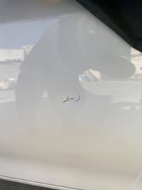 ٢٠٢٤ • ٢٠٠٠ سي سي • ١٩٠٠٠ كم