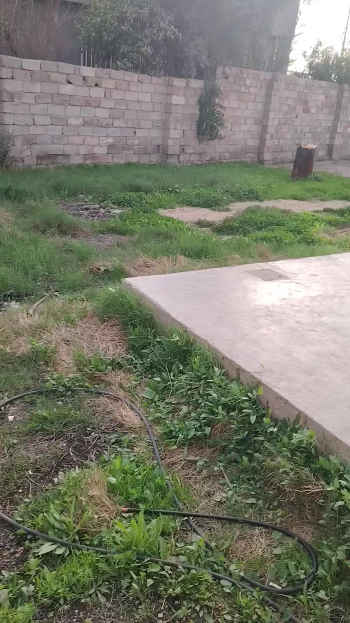 السلام عليكم مشتمل للبيع مساحه 250 زراعي مكانه جامع  الوزاعي السعر مالته 120 وبي مجال الشراي هذا رقم الهاتف  *********** الرقم الثاني ***********
