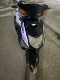 سكنس مكفولة ياباني أم جنكال 350  بغداد مشتل خابر تدلل 07733123188